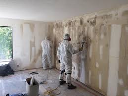 Environmental Consulting for Mold Prevention in Sammamish, WA